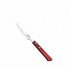 ΜΑΧΑΙΡΙ STEAK BBQ 11CM POLYWOOD